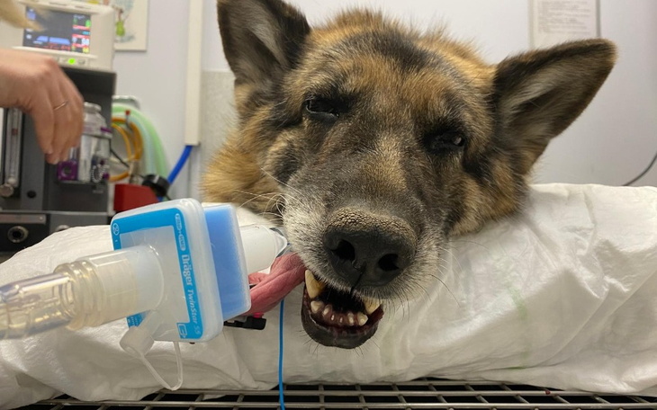 Zbiórka To jest już koniec dla Flo - zdjęcie główne