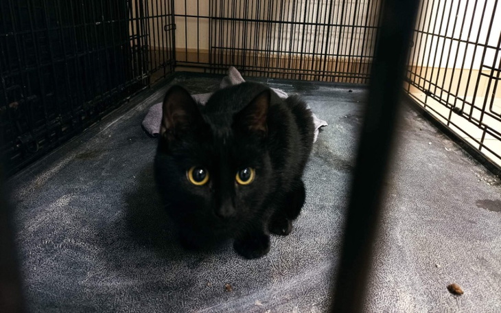 Zbiórka Powypadkowy dzieciak - zdjęcie główne