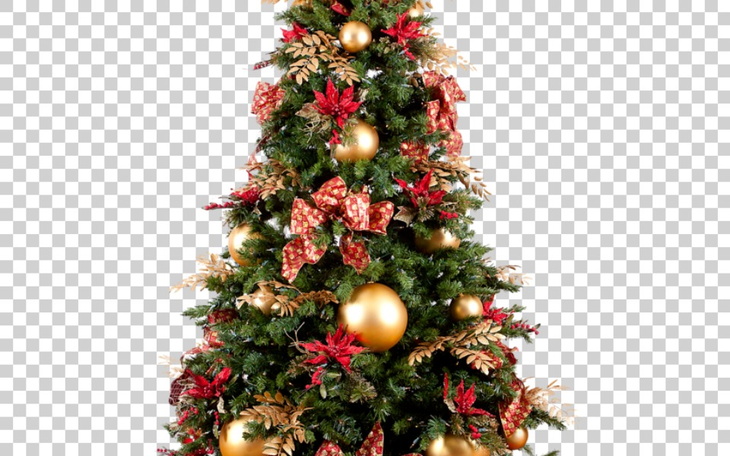 Zbiórka naświęta - zdjęcie główne