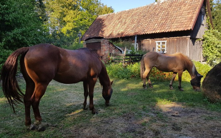Zbiórka W podziękowaniu dla Luizy 😍 - zdjęcie główne