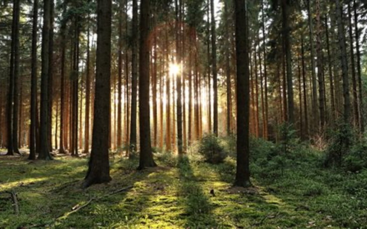 Zbiórka Na dom dla małżeństwa - zdjęcie główne