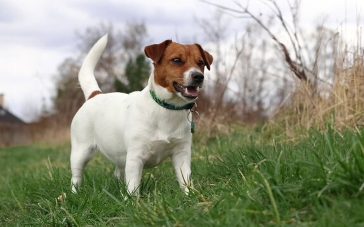 Zbiórka Na nowe zycie Karola Grobowskieg - zdjęcie główne