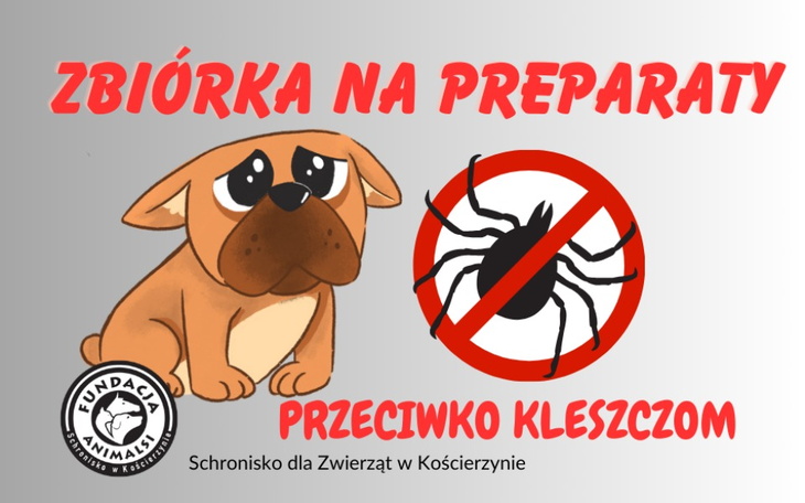 Zbiórka Podaruj grosz przeciw kleszczom - zdjęcie główne