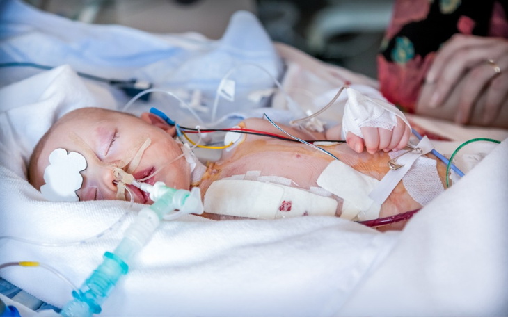 Zbiórka 765432wqsdfvg - zdjęcie główne