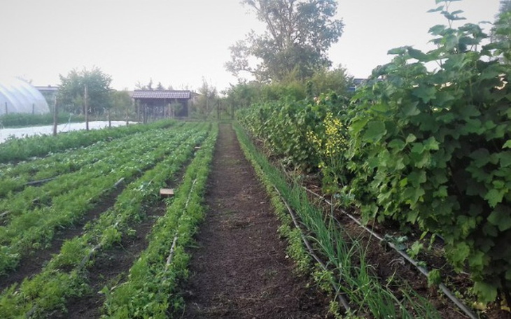 Zbiórka Pomoc w Gospodarstwie Ekologiczn - zdjęcie główne