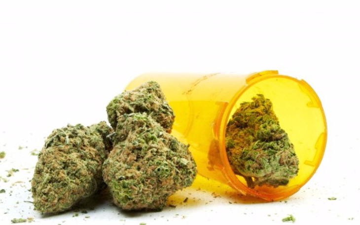 Zbiórka Wolne Konopie - zdjęcie główne