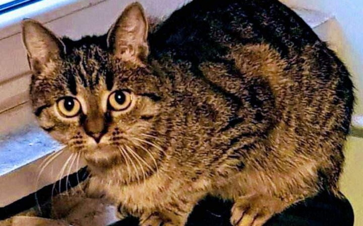 Zbiórka Dla Uny - zdjęcie główne