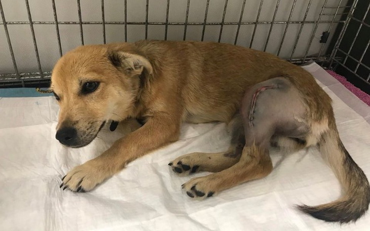 Zbiórka Operacja Bezy - zdjęcie główne