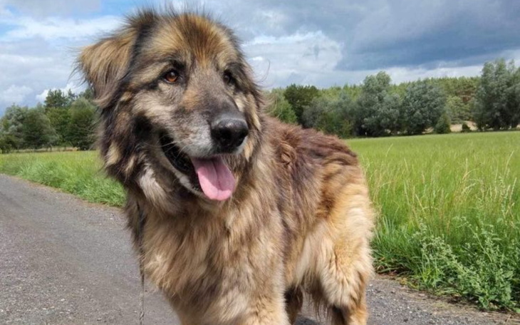 Zbiórka Kiermasz dla podopiecznych 3 - zdjęcie główne