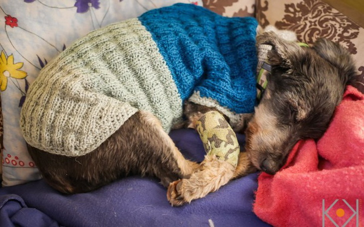 Zbiórka Skazany na śmierć ? - zdjęcie główne