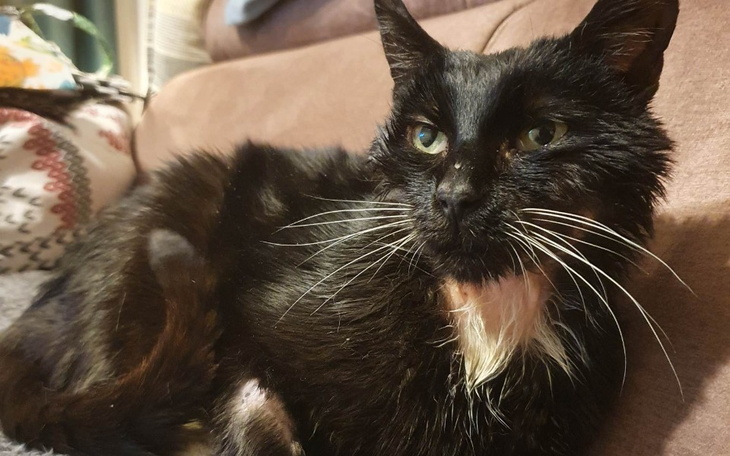 Zbiórka Gibuś walczący - zdjęcie główne