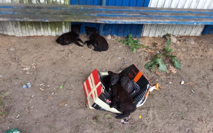 Zbiórka Sunie wyrzucone na przystanku - zdjęcie główne