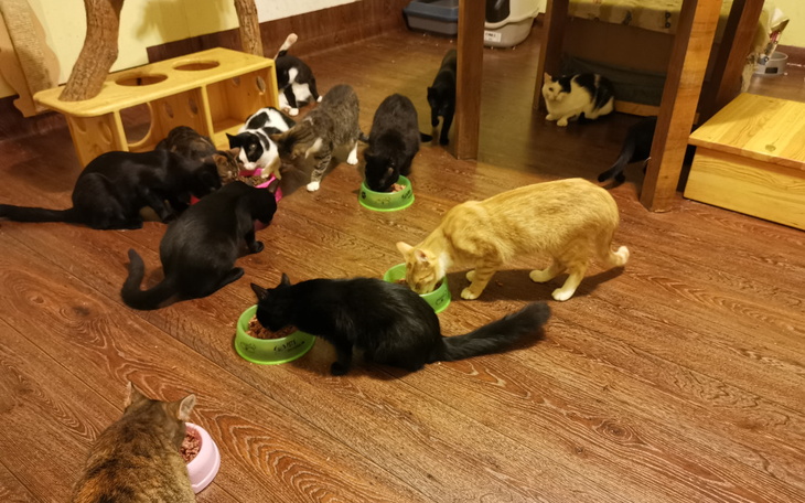 Zbiórka Przestaliśmy już liczyć wydatki - zdjęcie główne