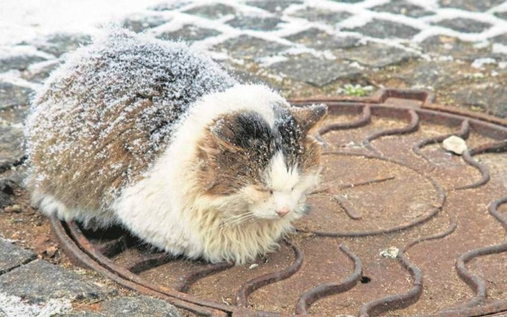Zbiórka Napełniamy brzuszki ;) - zdjęcie główne