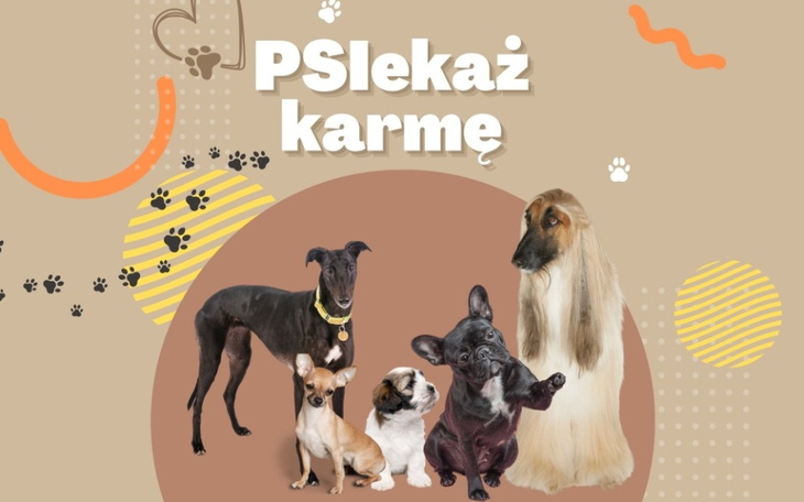 Zbiórka PSIekaż karmę dla schroniska - zdjęcie główne