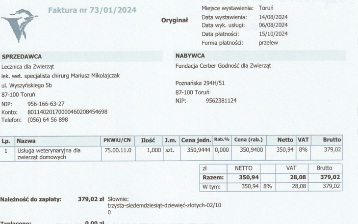 Zbiórka Pomoc w leczeniu kota Julka - zdjęcie główne