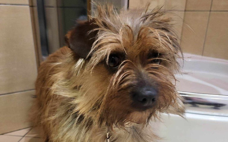 Zbiórka Ona cierpi a ja jestem BEZRADNA - zdjęcie główne