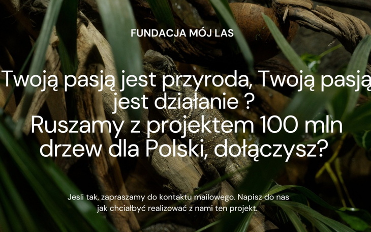 Plakat promujący projekt sadzenia drzew w Polsce.