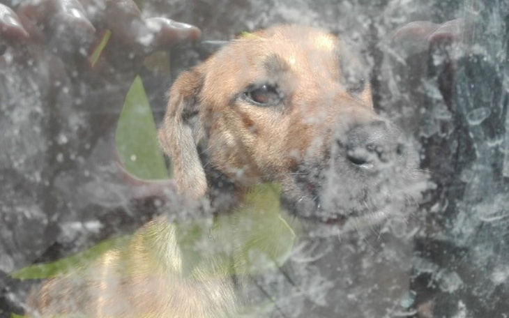 Zbiórka Mówią, nadzieja umiera ostatnia - zdjęcie główne