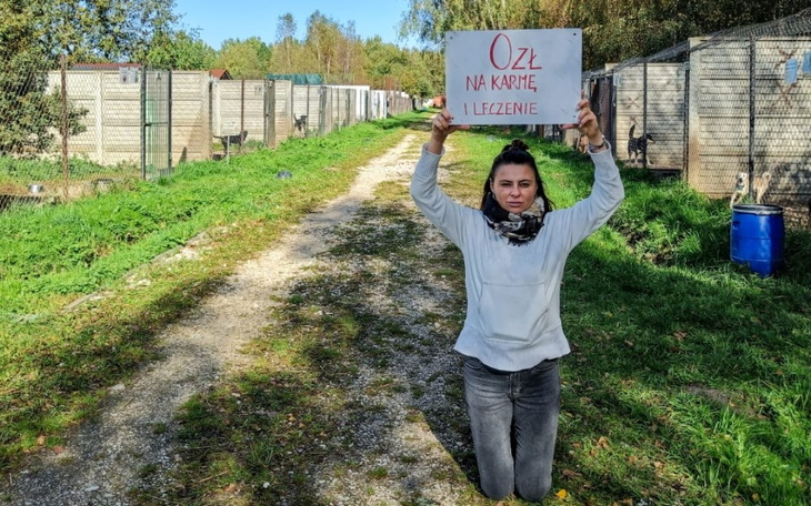 Kobieta trzymająca znak w schronisku dla zwierząt.