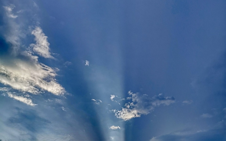 Zbiórka Ostatnia Przystań pomagamy - zdjęcie główne