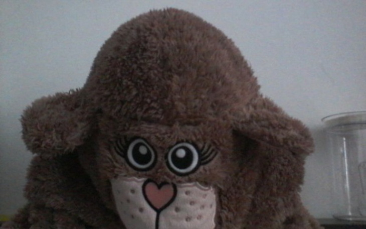 Zbiórka Samotna mamusia i 4 dzieci - zdjęcie główne