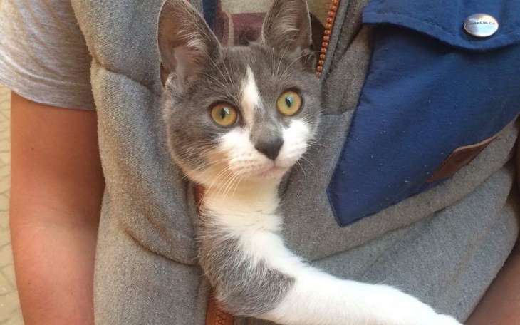 Zbiórka Neli leczenie - zdjęcie główne