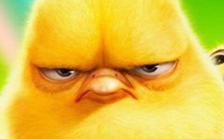 Zbiórka Nowa grzała i olejek - zdjęcie główne