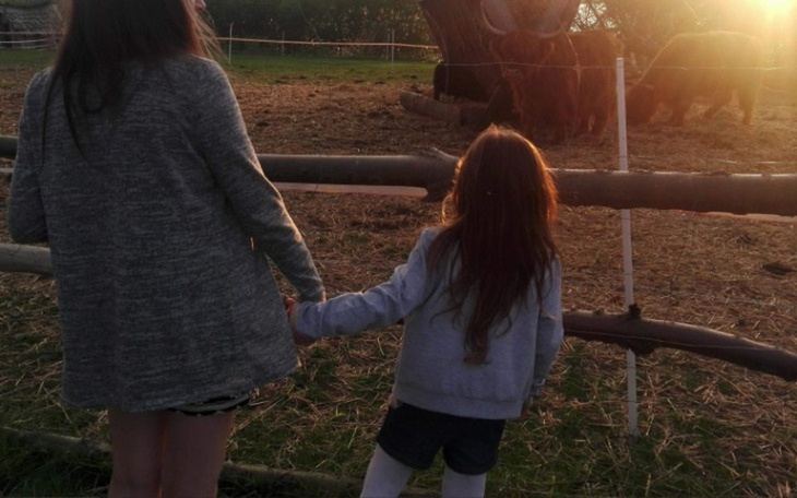 Zbiórka Prawnik i komornik - zdjęcie główne