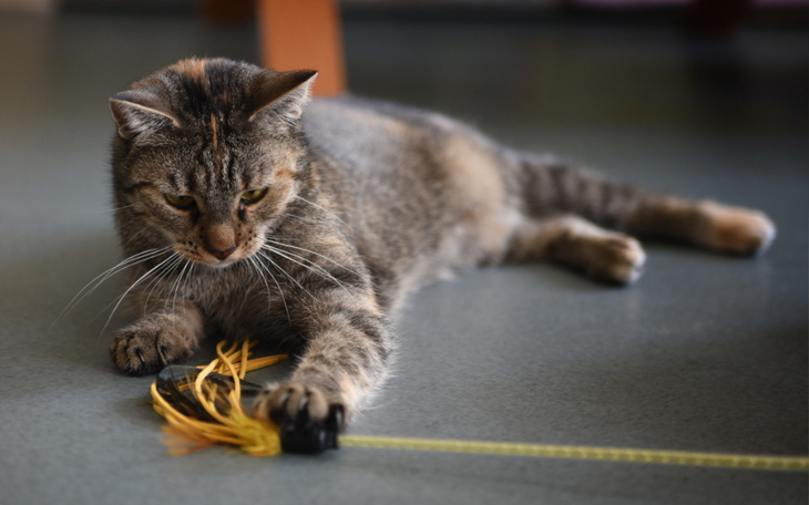 Zbiórka Mruczarnia listopad 2023 - zdjęcie główne