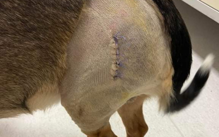 Zbiórka Kajtek nie łam się - zdjęcie główne