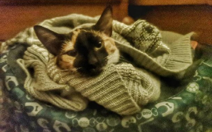 Zbiórka Długotrwała choroba Mani 84dni - zdjęcie główne