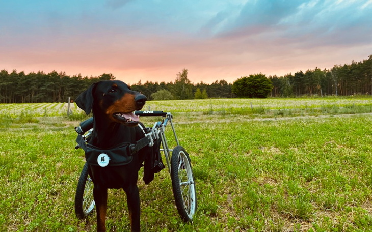 Zbiórka aRes dla Prezesa - zdjęcie główne