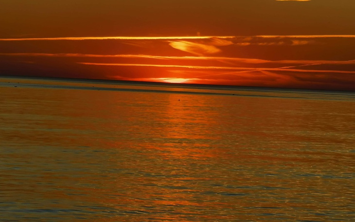 Zbiórka Zbieram na wyjazd do siostry do - zdjęcie główne