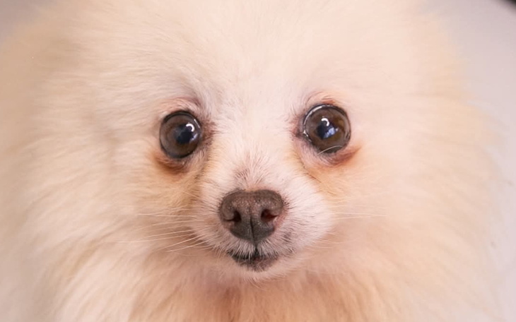 Kobieta leżąca w szpitalnym łóżku, z wyrazem twarzy.