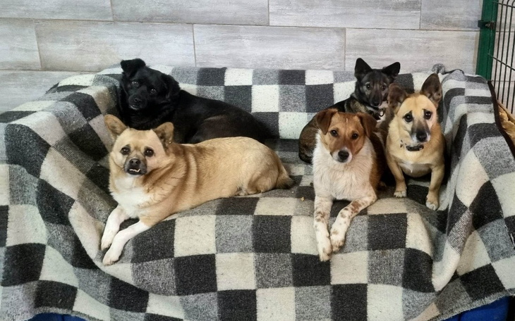 Zbiórka By zostać w hotelu - zdjęcie główne