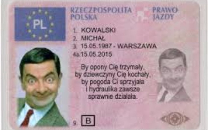 Zbiórka Prawko i samochód dla blondyny - zdjęcie główne