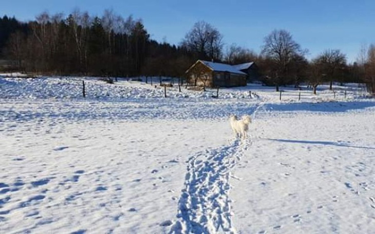 Zbiórka Zbieram na wymarzone gospodarstw - zdjęcie główne