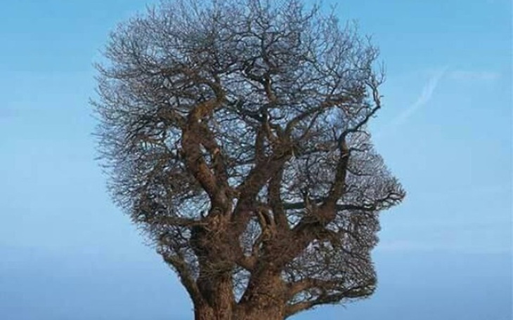 Zbiórka Pomoc w utrzymaniu. Zadłużenie. - zdjęcie główne