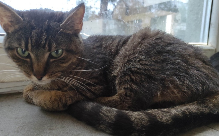 Zbiórka Eryczku zostań ze mną.WALCZ - zdjęcie główne