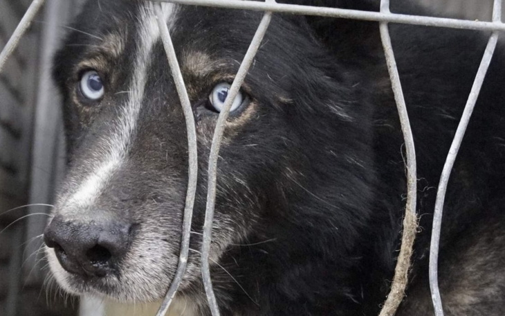 Zbiórka Na bilet do nowego życia. - zdjęcie główne