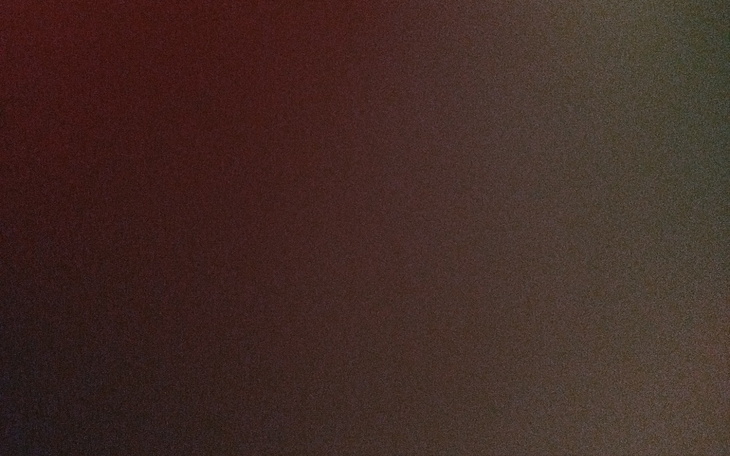 Rozmyty obraz, brak wyraźnych detali.