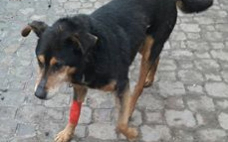 Zbiórka Na Tomograf dla Rataja - zdjęcie główne