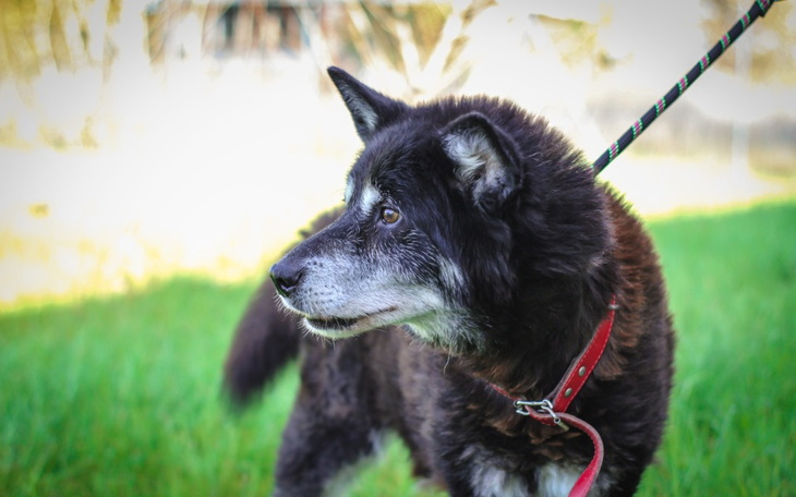 Zbiórka Skarbonka dla Easy - zdjęcie główne