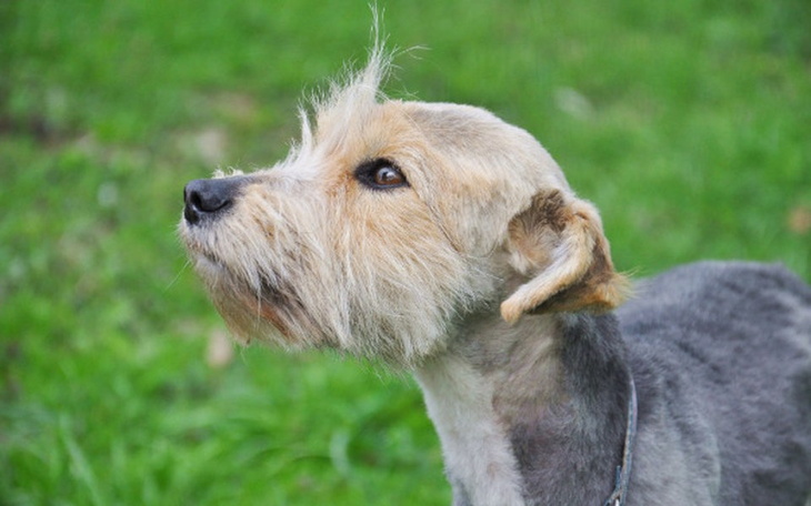 Zbiórka W stronę słońca - zdjęcie główne