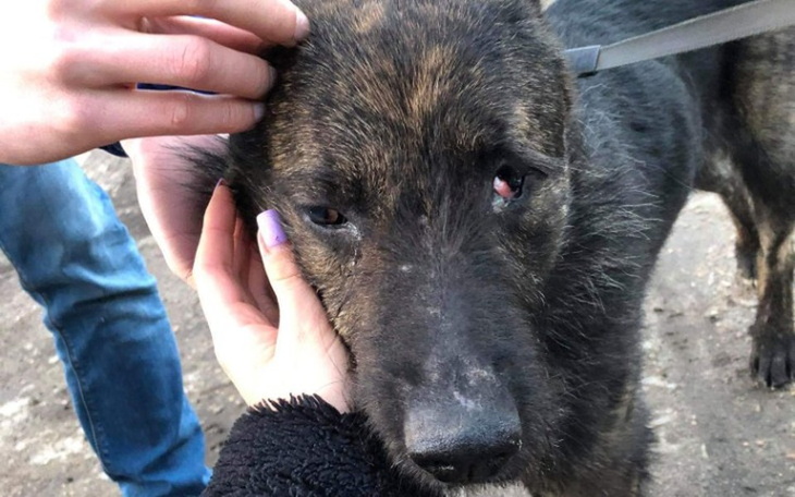 Zbiórka Uratujmy jego WZROK - zdjęcie główne