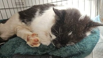 Zbiórka 10 lat tęsknoty - miniaturka zdjęcia