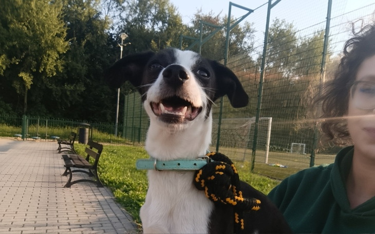 Zbiórka Suczka uratowana od narkomanów - zdjęcie główne