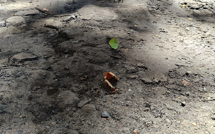 Zbiórka Kliniec na podwórko - zdjęcie główne