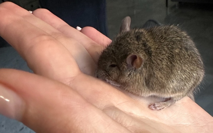 Zbiórka Wyjazd w podziekowaniu - zdjęcie główne